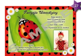 Party Buckets by Magda supplier for various party accessories in the East Rand._party invitations027