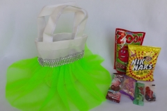 Party Buckets in the East Rand personalized party packs filled with quality sweets tutu bags010